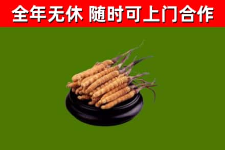 萨嘎县烟酒回收冬虫夏草.jpg